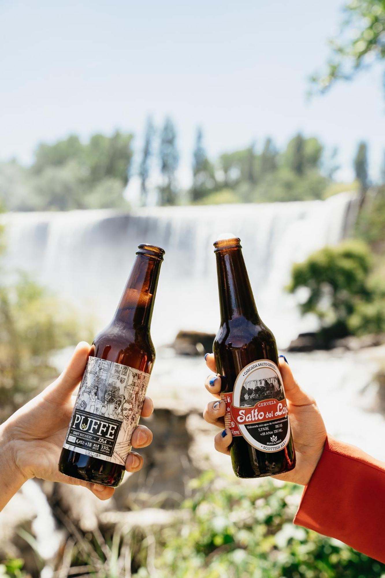 Hotel Salto Del Laja Los Ángeles Zewnętrze zdjęcie